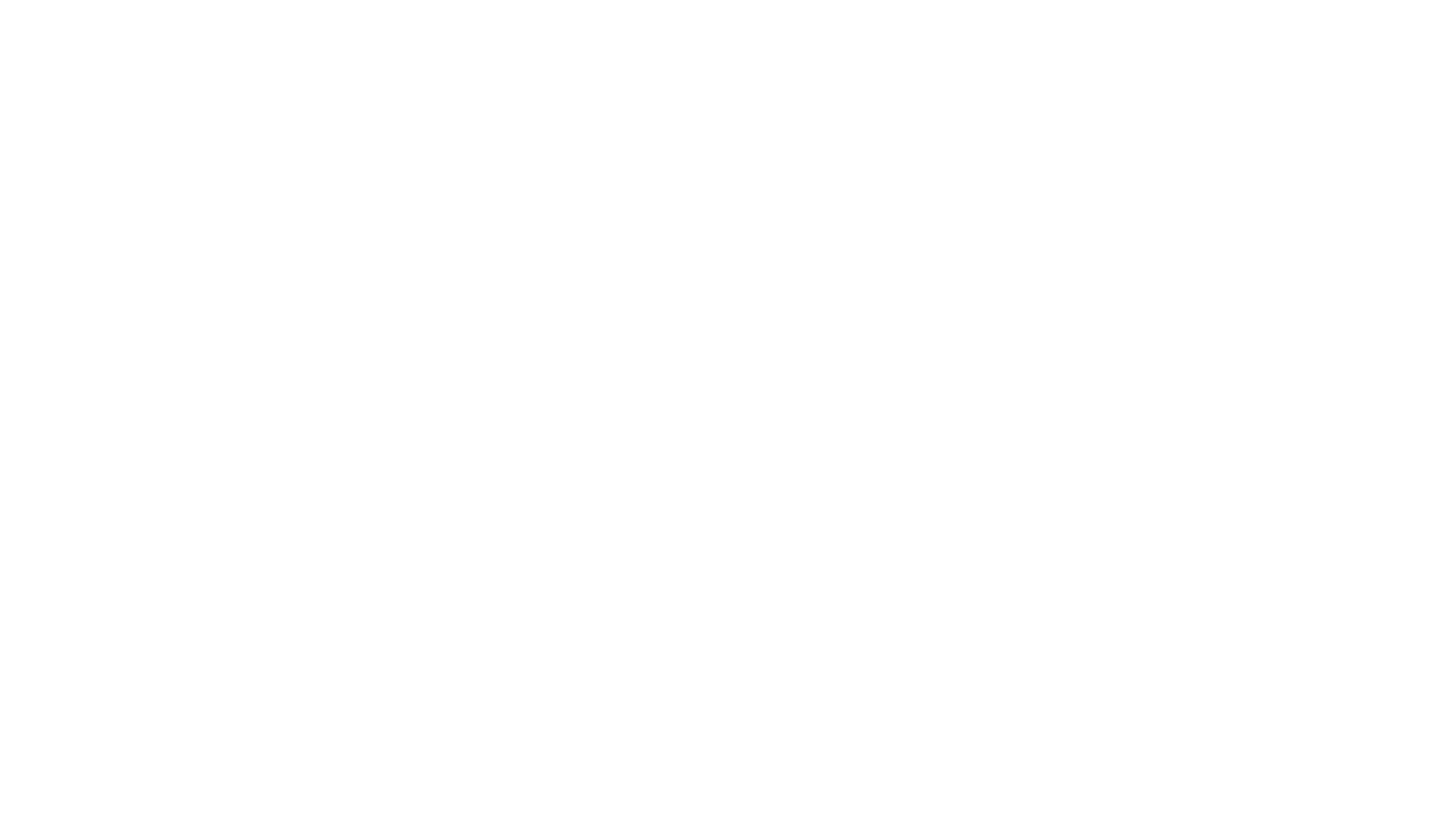 Art Of War 2009